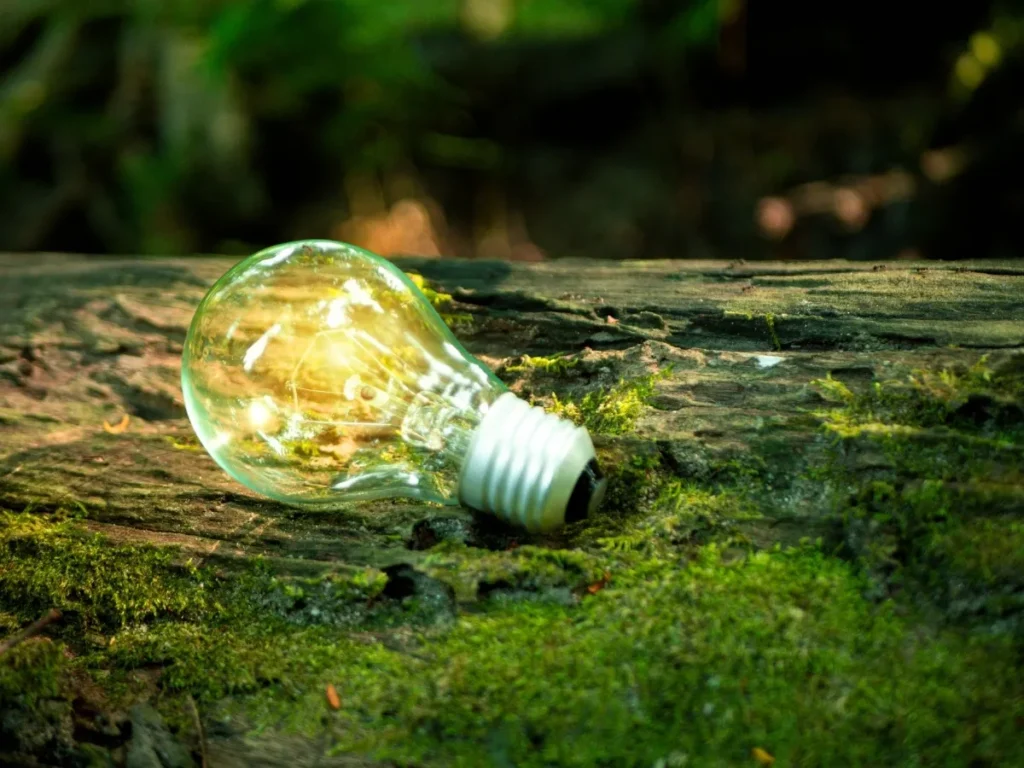 🌱 The Fresh & Challenge Green Tech & Sustainable Innovation