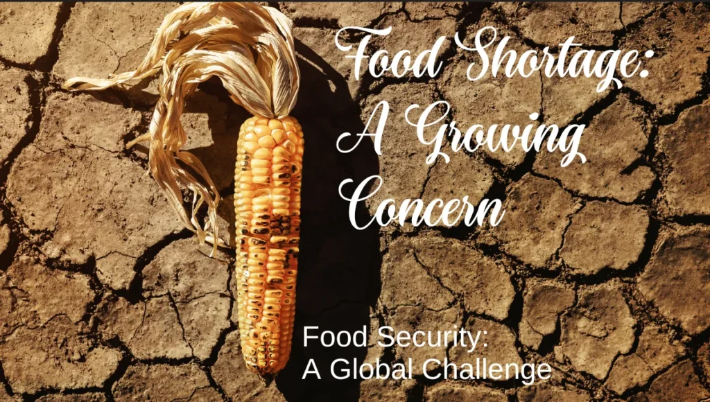 Innovative Food Trends